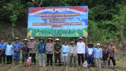 Polda Papua Gelar Penanaman Jagung Serentak Dukung Swasembada Jagung di Kabupaten Jayapura