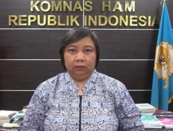 Komnas HAM Kecam Operasi Penindakan TNI Terhadap OPM yang Menewaskan 12 Warga Sipil