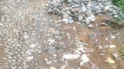 Proyek Jalan Aspal Desa Nampar Tabang Mangkrak, Warga Minta APH Periksa CV Gabriela dan Pemdes