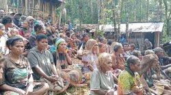 Warga Sipil Sejumlah Distrik di Puncak Kehilangan Rumah dan Masih Tinggal di Tempat Pengungsian