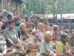 Warga Sipil Sejumlah Distrik di Puncak Kehilangan Rumah dan Masih Tinggal di Tempat Pengungsian