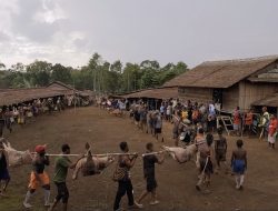 Pemutaran Film di Roma Mengungkap Krisis Moral Negara dan Keheningan Gereja atas Papua