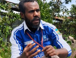 Apindo Dogiyai Dorong Transformasi Ekonomi dan Penguatan Data Sejalan Kesepakatan Timika ‎