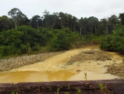 Aparat Gabungan Kejar Pelaku Pembunuhan 10 Pendulang Emas di Awimbon, Pegunungan Bintang