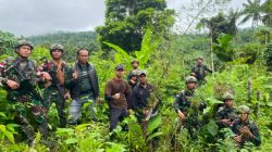 Satuan Tugas Pengamanan Perbatasan RI-Papua Nugini Amakan Puluhan Tanaman Ganja di Waris
