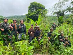 Satuan Tugas Pengamanan Perbatasan RI-Papua Nugini Amakan Puluhan Tanaman Ganja di Waris