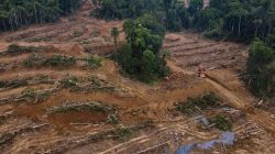 Walhi Papua Sebut Rumah Hidup Masyarakat Adat di Bumi Cenderawasih Alami Tekanan Kian Masif