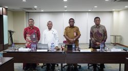 DEN Berikan Rekomendasi Penyusunan RUED Papua Barat Daya, Dorong Target Energi Indonesia Timur