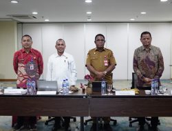 DEN Berikan Rekomendasi Penyusunan RUED Papua Barat Daya, Dorong Target Energi Indonesia Timur