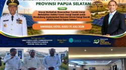 Dewan Energi Nasional Perkuat Implementasi RUED Melalui Pembentukan Forum Energi Papua Selatan
