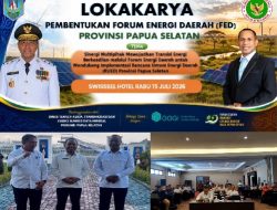 Dewan Energi Nasional Perkuat Implementasi RUED Melalui Pembentukan Forum Energi Papua Selatan