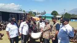 Kementerian Pertanian Bantu Tiga Ton Beras Kepada Warga Masyarakat Terdampak Konflik Wouma