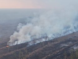Koalisi Desak Presiden Hentikan Pembongkaran Hutan Adat Demi Menangkal Krisis Iklim Global