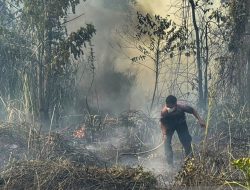 Serukan Kesiapsiagaan Hadapi El Nino, Kadin Papua Tengah: Kabut Asap Jangan Dianggap Sepele