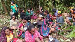 125.931 Lebih Warga Sipil Papua Mengungsi, Palang Merah Internasional Diminta Segera Turun Tangan