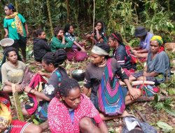 125.931 Lebih Warga Sipil Papua Mengungsi, Palang Merah Internasional Diminta Segera Turun Tangan