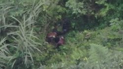 Sempat Terluka, Pelaku Penembakan Warga Negara Asing Dilarikan Kelompoknya ke Dalam Hutan