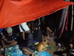 Ribuan Warga 2 Desa di Manggarai Timur Belum Tersentuh Bantuan: Bapak Presiden, Tolong Liat Kami!