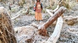 Warga Kabupaten Dogiyai di Tapal Batas Provinsi Papua Tengah dan Papua Barat Menangis Kelaparan
