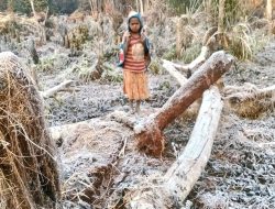 Warga Kabupaten Dogiyai di Tapal Batas Provinsi Papua Tengah dan Papua Barat Menangis Kelaparan