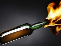 Kantor Komnas HAM Republik Indonesia Perwakilan Papua Dilempar Bom Molotov Orang tak Dikenal