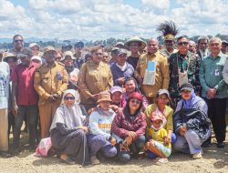 Pangdam Cenderawasih dan Gubernur Papua Tinjau Cetak Sawah Senggi, Dorong Pertanian Modern