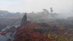 Puisi: Ketika Langit Kehilangan Biru dan Kota yang Bernafas dengan Luka Karya Damianus Ose Wotan