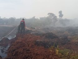 Puisi: Ketika Langit Kehilangan Biru dan Kota yang Bernafas dengan Luka Karya Damianus Ose Wotan
