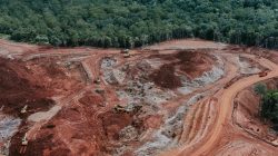 Prosa Lirik: Asap dan Sengsara Memeluk Pulau Papua Karya Yance Dou