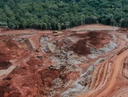 Prosa Lirik: Asap dan Sengsara Memeluk Pulau Papua Karya Yance Dou