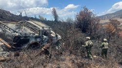 Penembakan Tiga ASN di Muliama dan Supir di Distrik Trikora: Tindakan Kriminal dan Pelanggaran HAM