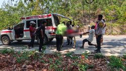 Insiden Kecelakaan Tunggal Truk Rute Sentani — Depapre, Satu Penumpang Meregang Nyawa