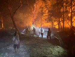 Kebakaran Melanda 6 Hektare Lahan Dipadamkan, Polres Jayawijaya: Waspadai Cuaca Ekstrem