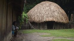 Prosa Lirik: Honai Abadi di Ujung Sunyi, Tentang Klitus Togodly Karya Yance Dou