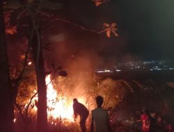 Antisipasi Kabut Asap dan Gangguan Penerbangan, Kodam Cenderawasih Perkuat Penanganan Karhutla
